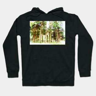 Pine Tree Grove Hoodie